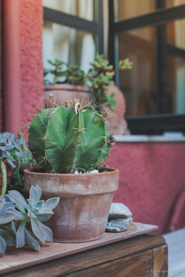 Small Guesthouse In The Garden อมารินโธส ภายนอก รูปภาพ